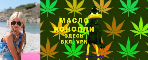 мдпв Елабуга